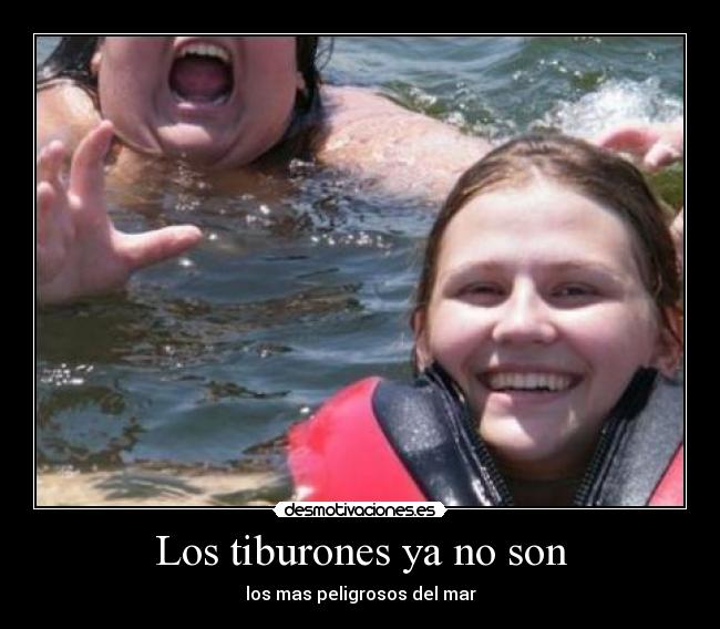 Los tiburones ya no son -