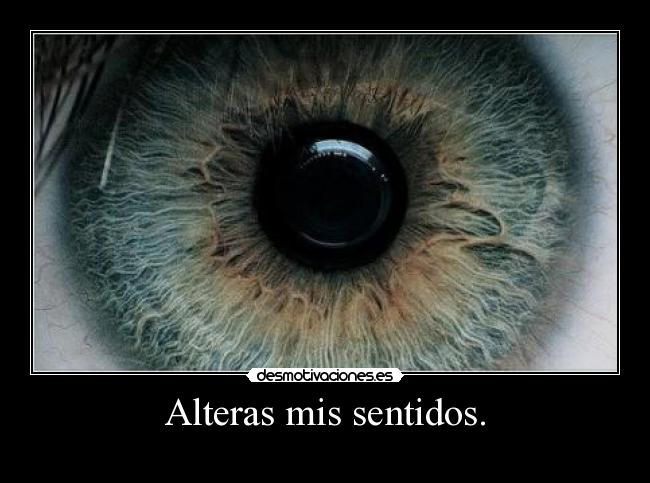 Alteras mis sentidos. -