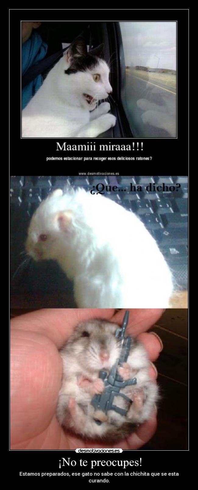 ¡No te preocupes! - Estamos preparados, ese gato no sabe con la chichita que se esta curando.