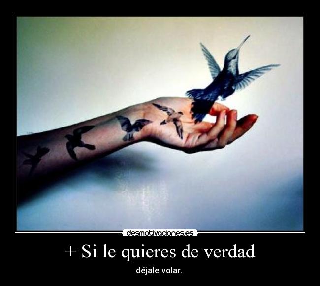 + Si le quieres de verdad - 