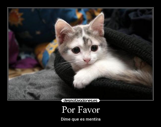 Por Favor - Dime que es mentira