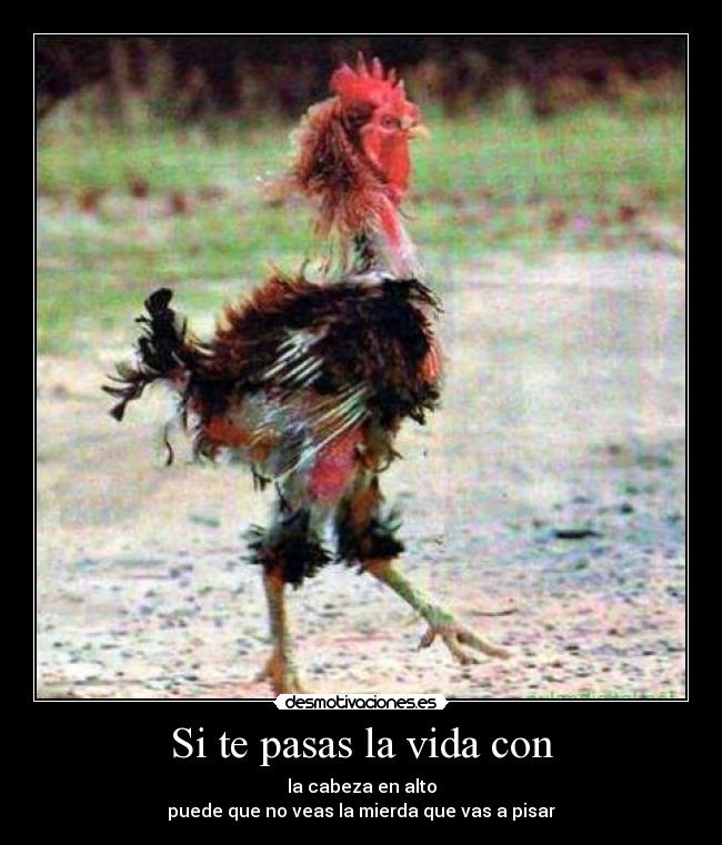 Si te pasas la vida con -