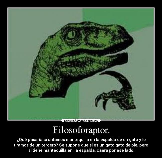 Filosoforaptor. - ¿Qué pasaría si untamos mantequilla en la espalda de un gato y lo
tiramos de un tercero? Se supone que si es un gato gato de pie, pero
si tiene mantequilla en  la espalda, caerá por ese lado.