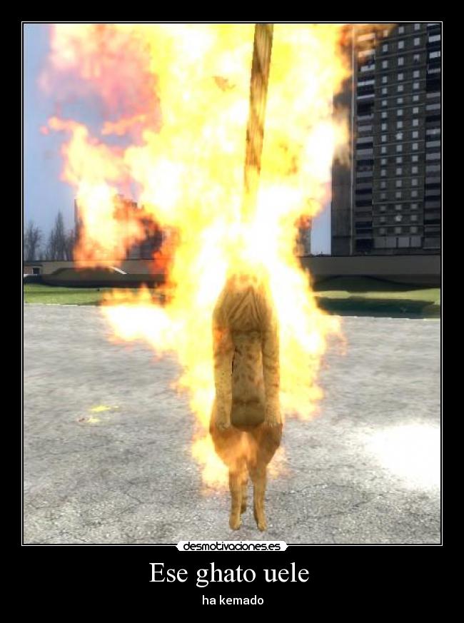 carteles gatoquemadojuego desmotivaciones