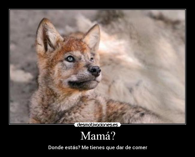 Mamá? -