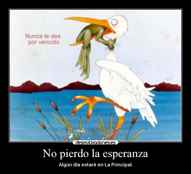 No pierdo la esperanza - 