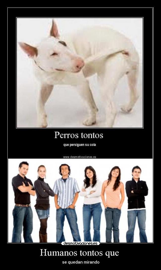 Humanos tontos que  - 