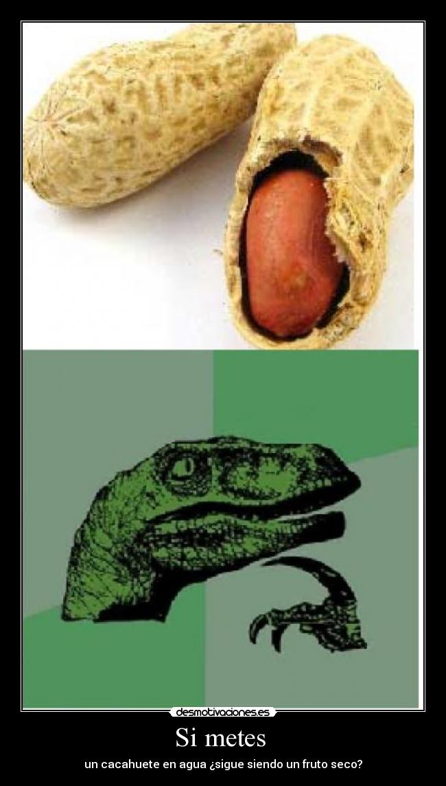 Si metes - un cacahuete en agua ¿sigue siendo un fruto seco?