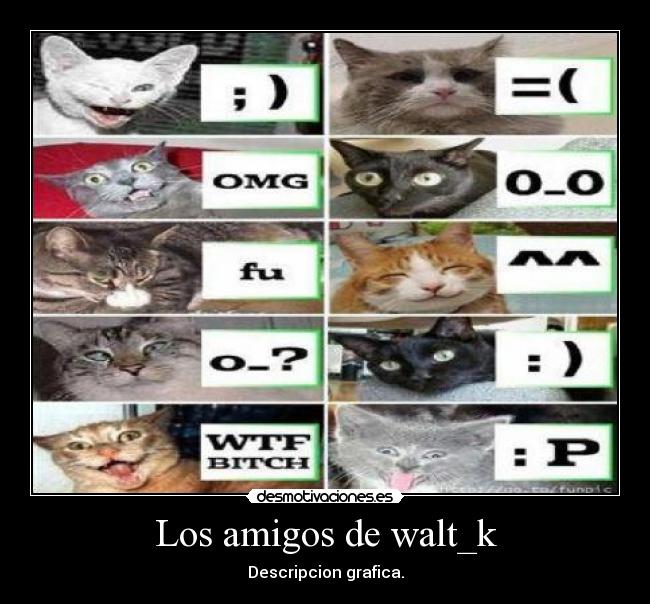 Los amigos de walt_k - Descripcion grafica.