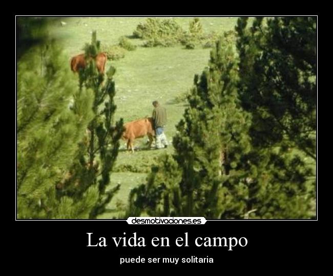 La vida en el campo - 
