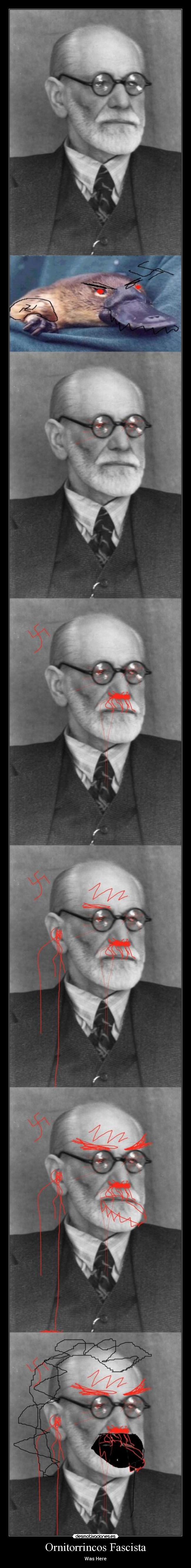 Ornitorrincos Fascista - 
