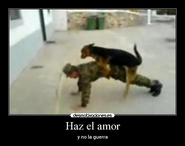 carteles amor paz guerra perro violando militar thor71 desmotivaciones