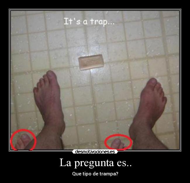 La pregunta es.. - 