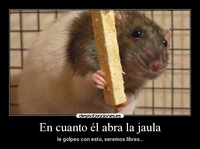 En cuanto él abra la jaula - le golpeo con esto, seremos libres...