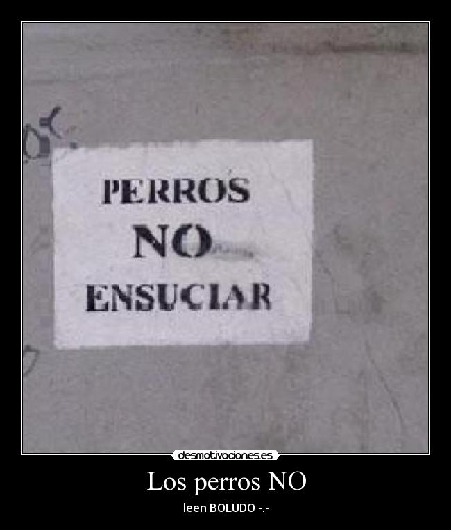 Los perros NO - 