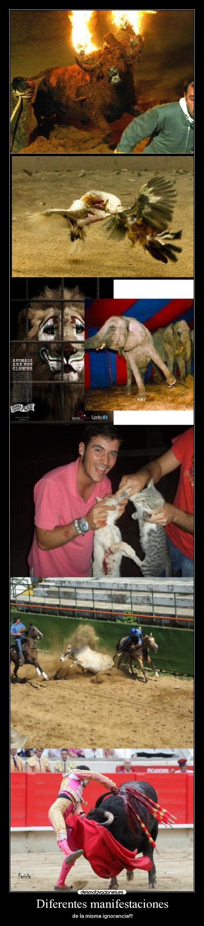 Diferentes manifestaciones - 
