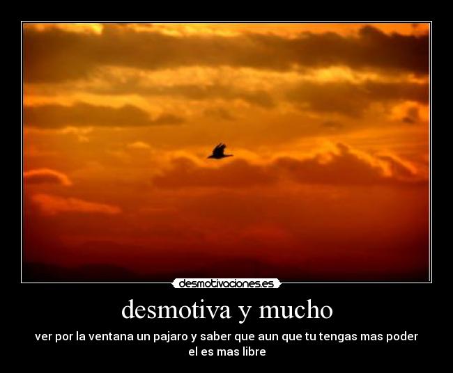 desmotiva y mucho - ver por la ventana un pajaro y saber que aun que tu tengas mas poder el es mas libre