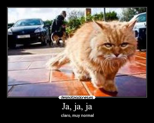 Ja, ja, ja - claro, muy normal