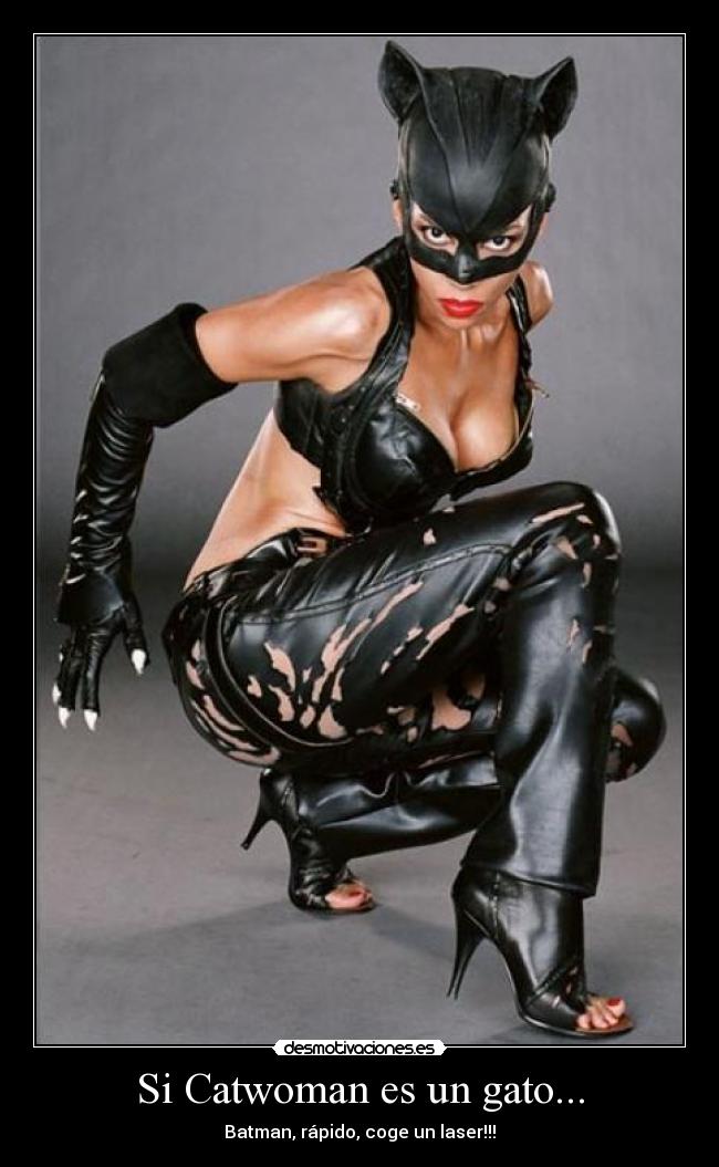 Si Catwoman es un gato... - 