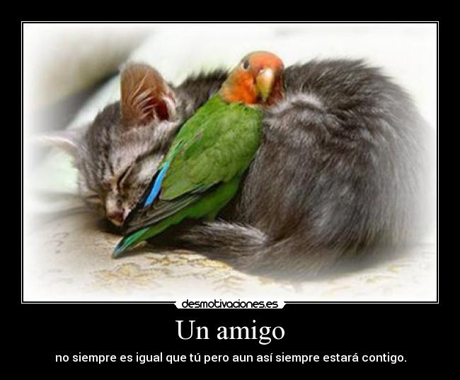 Un amigo - 