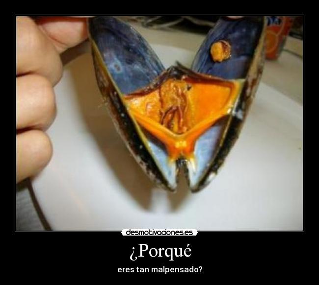 ¿Porqué -