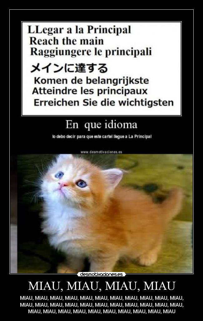 MIAU, MIAU, MIAU, MIAU - MIAU, MIAU, MIAU, MIAU, MIAU, MIAU, MIAU, MIAU, MIAU, MIAU, MIAU,
MIAU, MIAU, MIAU, MIAU, MIAU, MIAU, MIAU, MIAU, MIAU, MIAU, MIAU,
MIAU, MIAU, MIAU, MIAU, MIAU, MIAU, MIAU, MIAU, MIAU, MIAU