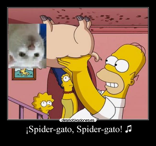 ¡Spider-gato, Spider-gato! ♫ - 