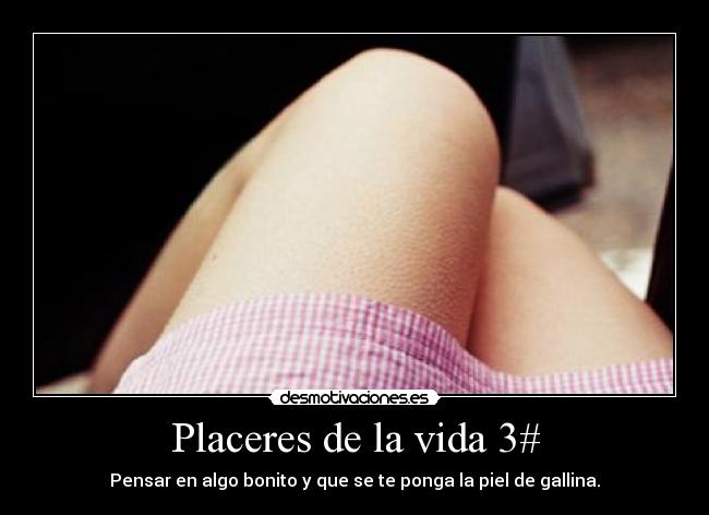 Placeres de la vida 3# - Pensar en algo bonito y que se te ponga la piel de gallina.