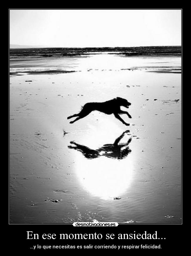 En ese momento se ansiedad... - ...y lo que necesitas es salir corriendo y respirar felicidad.