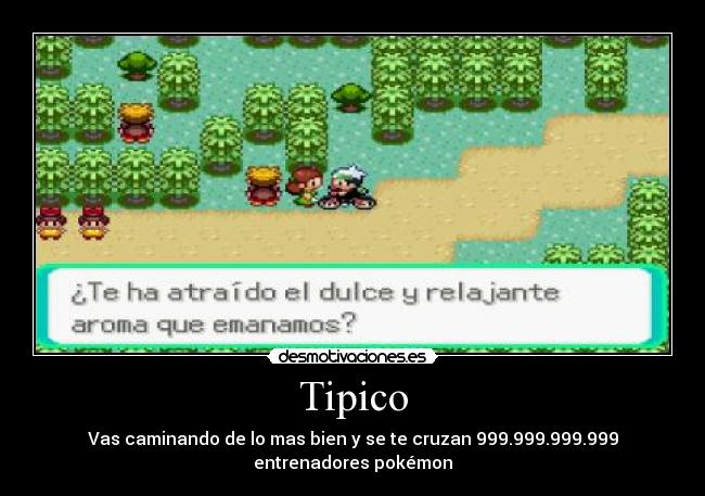 Tipico - 