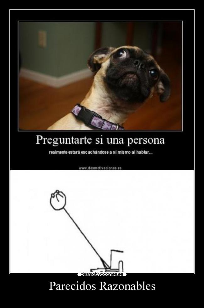 Parecidos Razonables -