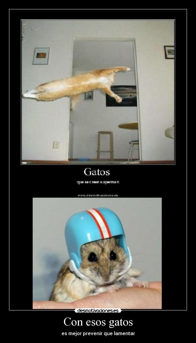 Con esos gatos -