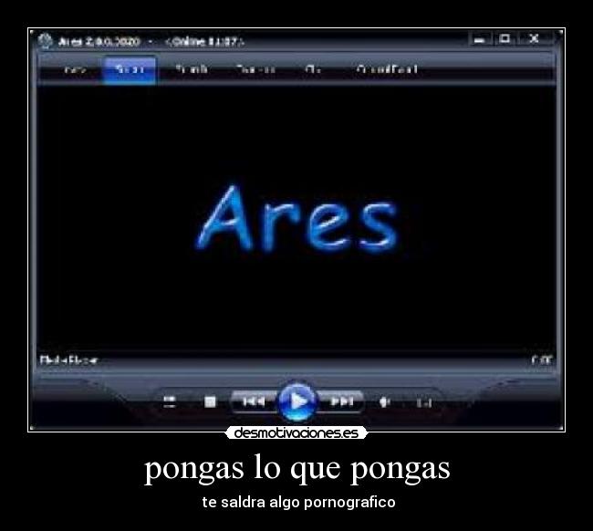 pongas lo que pongas -