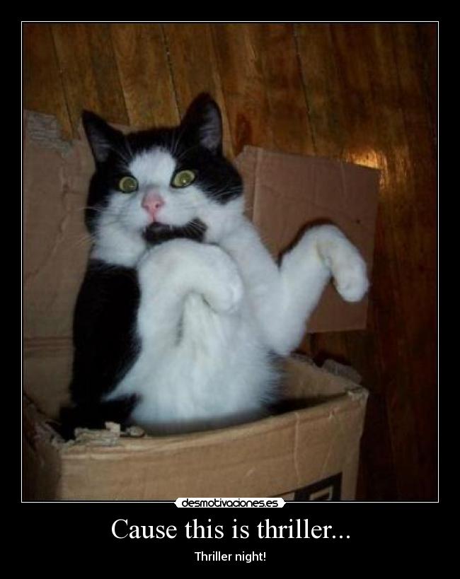 Cause this is thriller... - Thriller night!