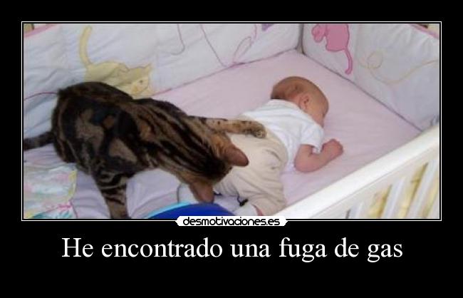 He encontrado una fuga de gas - 
