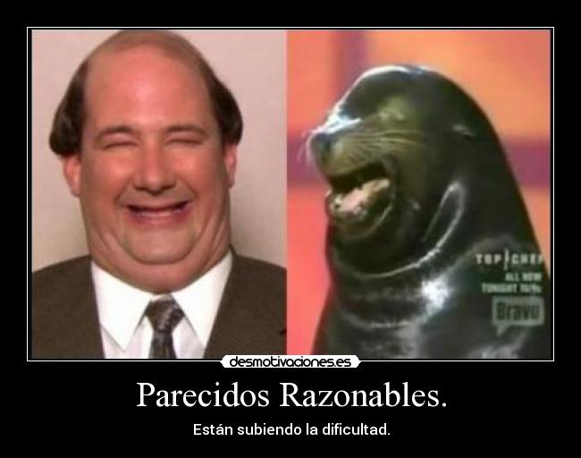 Parecidos Razonables. - 