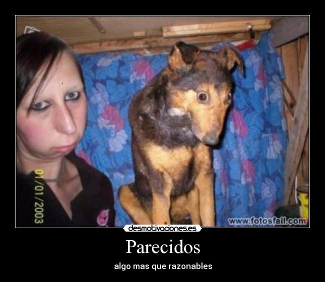Parecidos -