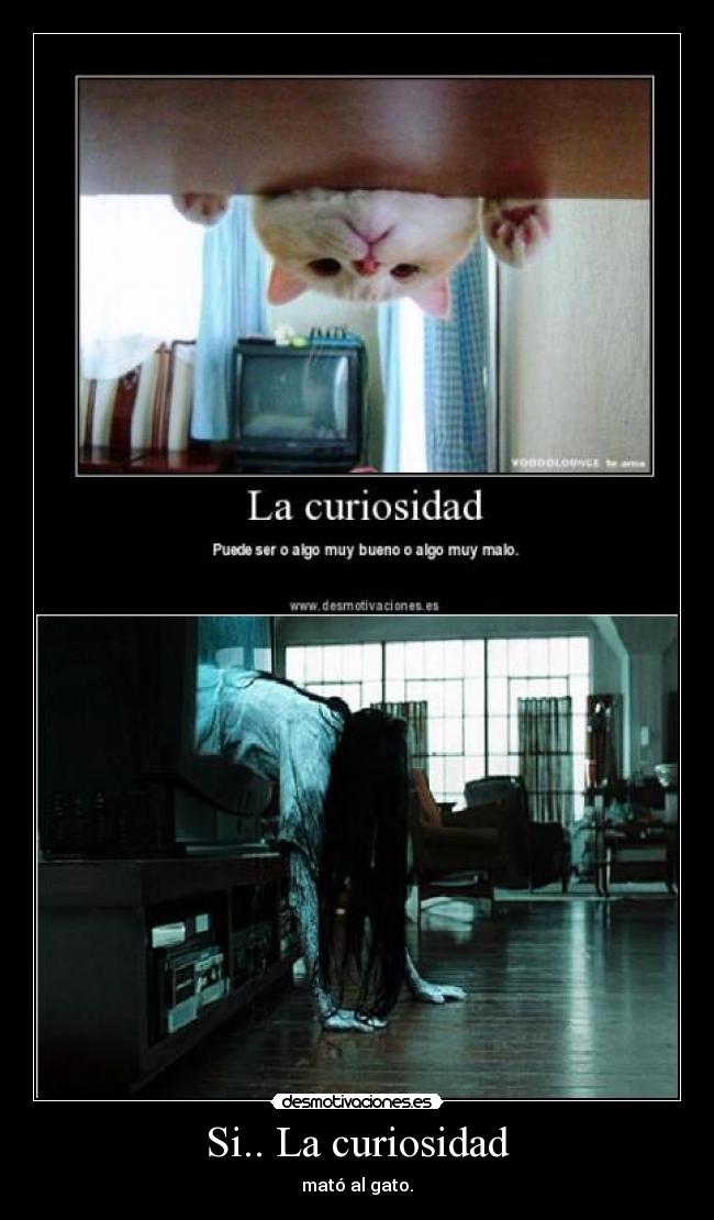 Si.. La curiosidad -