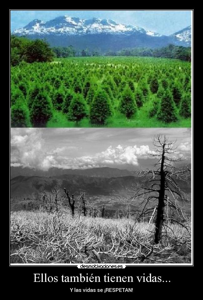 Ellos también tienen vidas... - 