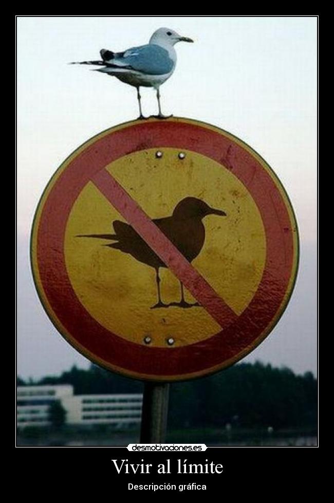 Vivir al límite - 