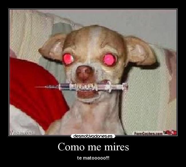Como me mires - 