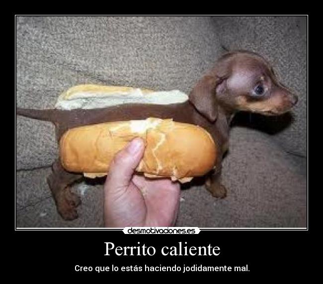 Perrito caliente - 