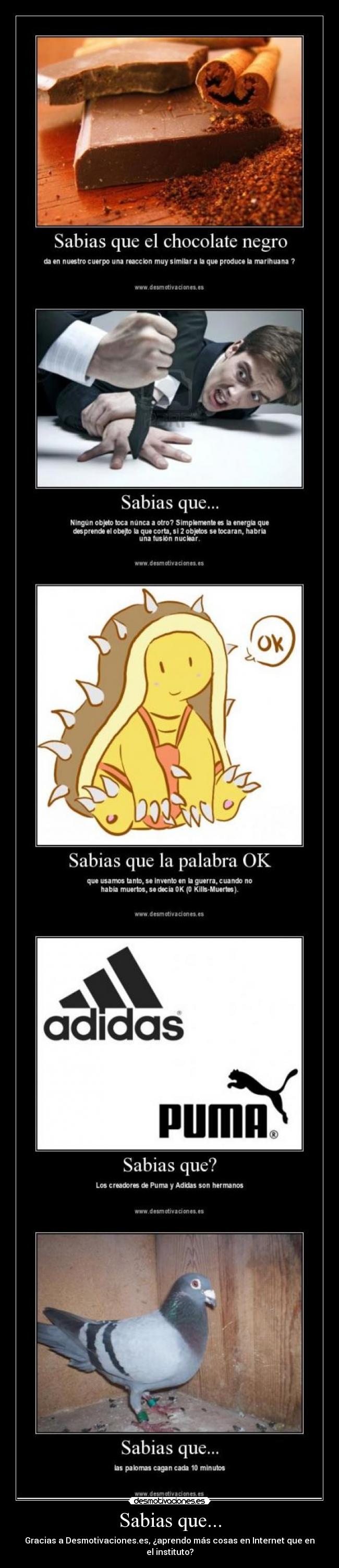 Sabias que... - Gracias a Desmotivaciones.es, ¿aprendo más cosas en Internet que en el instituto?