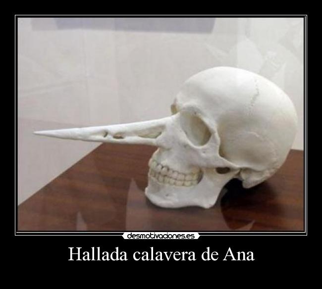 Hallada calavera de Ana -
