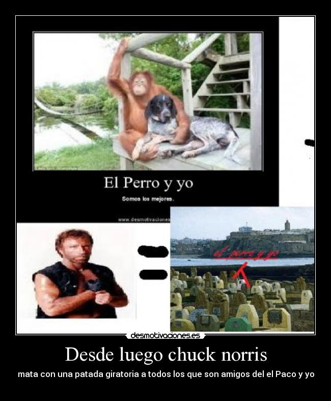 Desde luego chuck norris - mata con una patada giratoria a todos los que son amigos del el Paco y yo