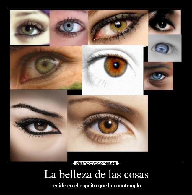 La belleza de las cosas -