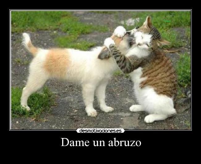 carteles dame abruzo desmotivaciones