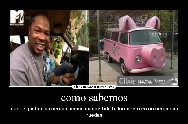 como sabemos - que te gustan los cerdos hemos combertido tu furgoneta en un cerdo con ruedas