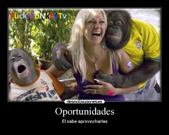 carteles mono oportunidades rubia mano desmotivaciones