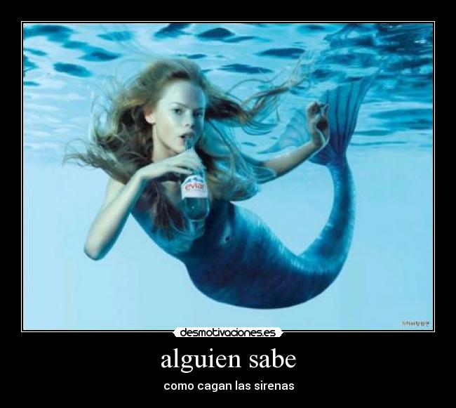 alguien sabe - 